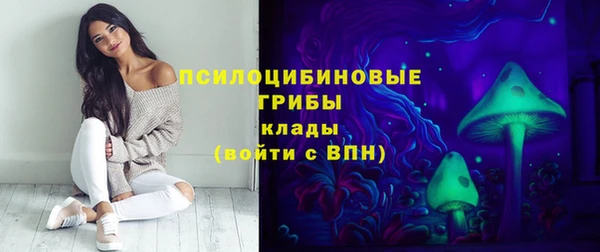твердый Абаза