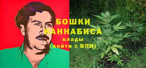 твердый Абаза