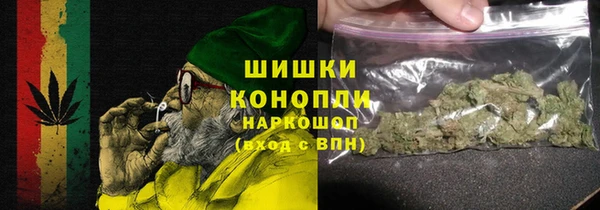 прущие грибы Алзамай