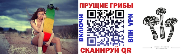 Галлюциногенные грибы Magic Shrooms Удомля